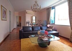 Braddell Heights Estate (D13), Detached #563319021